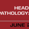 Head and Neck Pathology Start to Finish