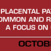 Placental Pathology A Tour of Common and Rare Pathologies with a Focus on Clinical Relevance