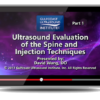 Ultrasound Evaluation of the Spine and Injection Techniques