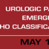 Urologic Pathology in 2017 Emerging Concepts