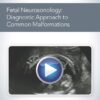 Fetal Neurosonology Diagnostic Approach to Common Malformations