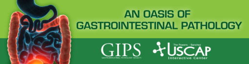 An Oasis of Gastrointestinal Pathology
