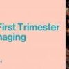 1637395905 2114237833 2021 advances in first trimester ultrasound imaging