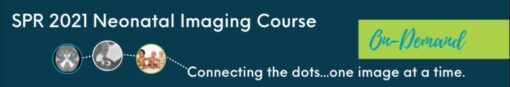 SPR 2021 Neonatal Imaging Course