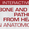 1641888407 1779129508 bone and soft tissue pathology from head to toe an anatomical approach 2022