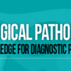1641888508 1813599637 gynecological pathology essential knowledge for diagnostic practice 2022