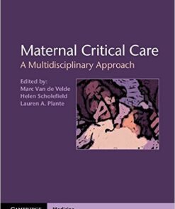 Maternal Critical Care: A Multidisciplinary Approach  1st Edition