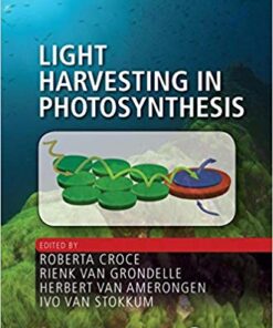 Light Harvesting in Photosynthesis (Foundations of Biochemistry and Biophysics) 1st Edition