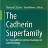 The Cadherin Superfamily: Key Regulators of Animal Development and Physiology