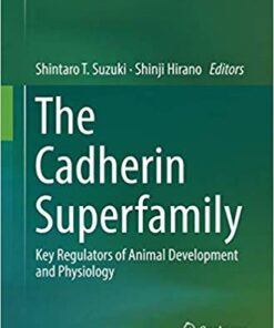 The Cadherin Superfamily: Key Regulators of Animal Development and Physiology