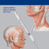 Botulinum Neurotoxin for Head and Neck Disorders 1st Edition PDF