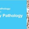2019 classic lectures in pathology what you need to know genitourinary pathology medical video courses 342990 720x