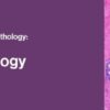 2021 classic lectures in pathology what you need to know breast pathology medical video courses 639223 1080x 768x268 1