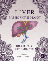 Liver Pathophysiology Therapies and Antioxidants