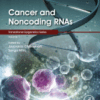 Cancer and Noncoding RNAs Volume 1 in Translational Epigenetics