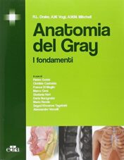 Anatomia del Gray. I fondamenti