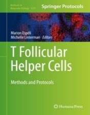T-Follicular Helper Cells