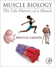 Muscle Biology: The Life History of a Muscle (Original PDF