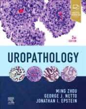 Designed for quick reference and efficient, accurate sign-outs, Uropathology, 2nd Edition, provides superbly illustrated, expert guidance in a time-saving format.