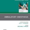 Ambulatory Anesthesia, An Issue of Anesthesiology Clinics (Volume 37-2) (The Clinics: Internal Medicine, Volume 37-2) (Original PDF