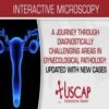a journey through diagnostically challenging areas in gynecologic pathology updated with new cases 2019