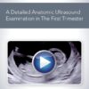 aium how to perform a detailed anatomic ultrasound examination in the first trimester medical video courses 149007 720x