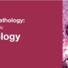 breast pathology 1
