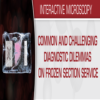 common and challenging diagnostic dilemmas on frozen section service 2020