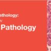 gyn path