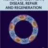 kidney development disease repair and regeneration 235x3001 1 176x225 1