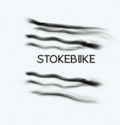 Stroke
