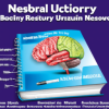 Best neurosurgery textbook for medical students