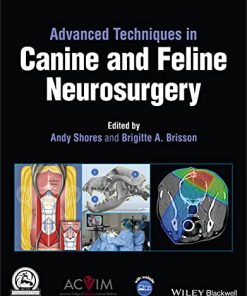 Advanced Techniques in Canine and Feline Neurosurgery