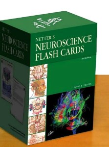 netters neuroscience flash cards 2e netter basic science 223x3001 1