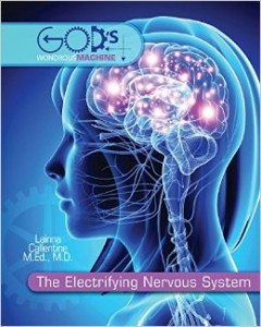 the electrifying nervous system gods wondrous machine 240x3001 1