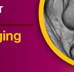2022 Knee Imaging Essentials