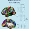 Brain Computations and Connectivity, 2nd Edition