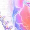 Echo Alaska Frontiers of Multimodality Imaging Including Echo, Cardiac CT and MRI 2023 – MayoClinic