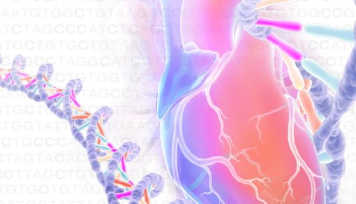 Echo Alaska Frontiers of Multimodality Imaging Including Echo, Cardiac CT and MRI 2023 – MayoClinic