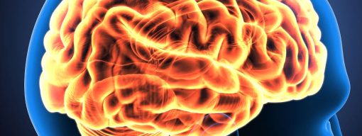 Harvard Neurology for the Non-Neurologist 2023