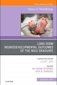 Long-Term Neurodevelopmental Outcomes of the NICU Graduate, An Issue of Clinics in Perinatology (Volume 45-3) (The Clinics: Orthopedics, Volume 45-3)