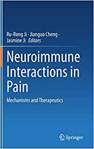 Neuroimmune Interactions in Pain: Mechanisms and Therapeutics