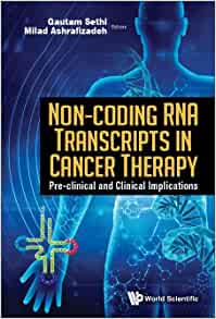 Non-coding Rna Transcripts in Cancer Therapy: Pre-clinical and Clinical Implications