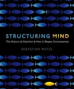 Structuring Mind: The Nature of Attention and how it Shapes Consciousness