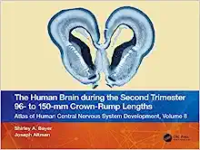 The Human Brain during the Second Trimester 96– to 150–mm Crown-Rump Lengths: Atlas of Human Central Nervous System Development, Volume 8 (Atlas of Human Central Nervous System Development, 8)