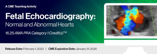 2023 Fetal Echocardiography: Normal and Abnormal Hearts