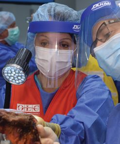 AAOS/ASES Anatomic and Reverse Total Shoulder Arthroplasty: Concepts and Techniques From Basic to Advanced 2022