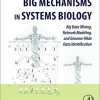 Big Mechanisms in Systems Biology: Big Data Mining, Network Modeling, and Genome-Wide Data Identification