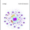 Das Hodgkin-Lymphom (UNI-MED Science) (German Edition), 2nd Edition