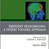 Emergent Neuroimaging: A Patient Focused Approach, An Issue of Neuroimaging Clinics of North America (Volume 28-3) (The Clinics: Radiology, Volume 28-3)